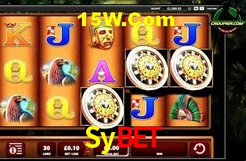 Sybet Curitiba - Statistics