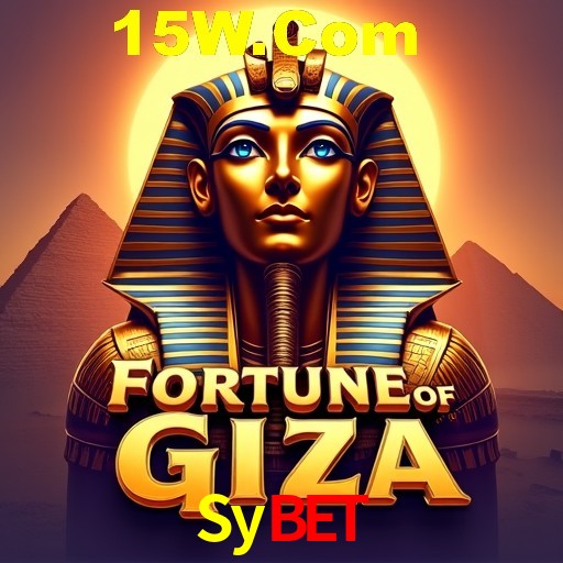 Sybet Rio de Janeiro - Bonus Terms